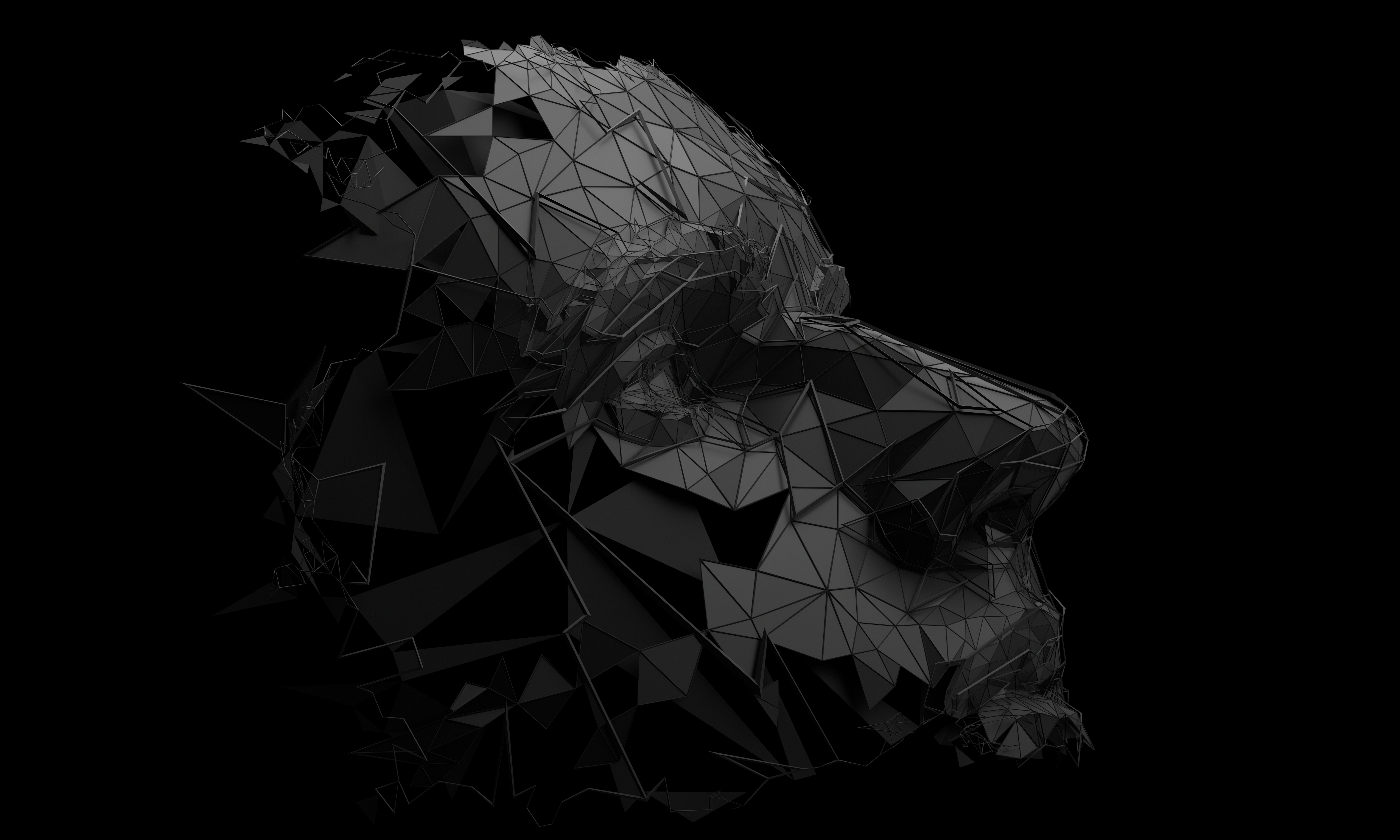 A fractured, polygonal human head rendered in dark faceted planes against shadow